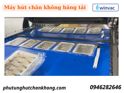 Máy đóng gói chân không liên tục - Ảnh 3