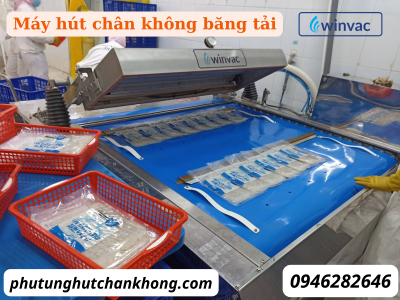 Máy đóng gói chân không liên tục - Ảnh 2